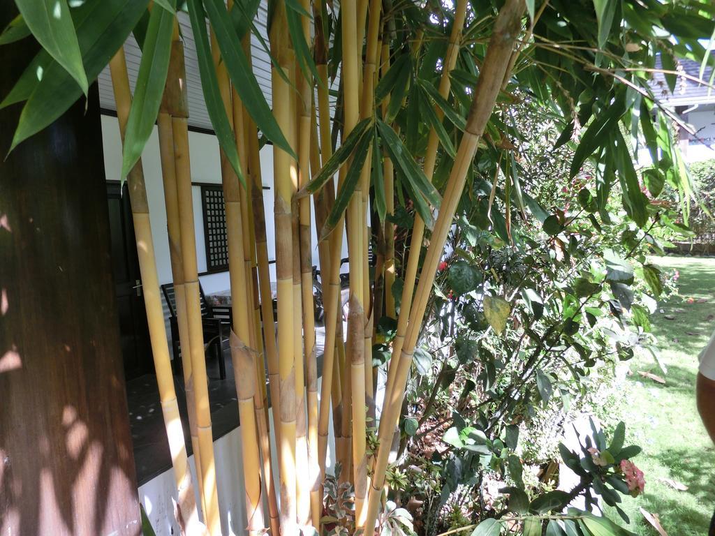 Balay Tuko Garden Inn Puerto Princesa Kültér fotó