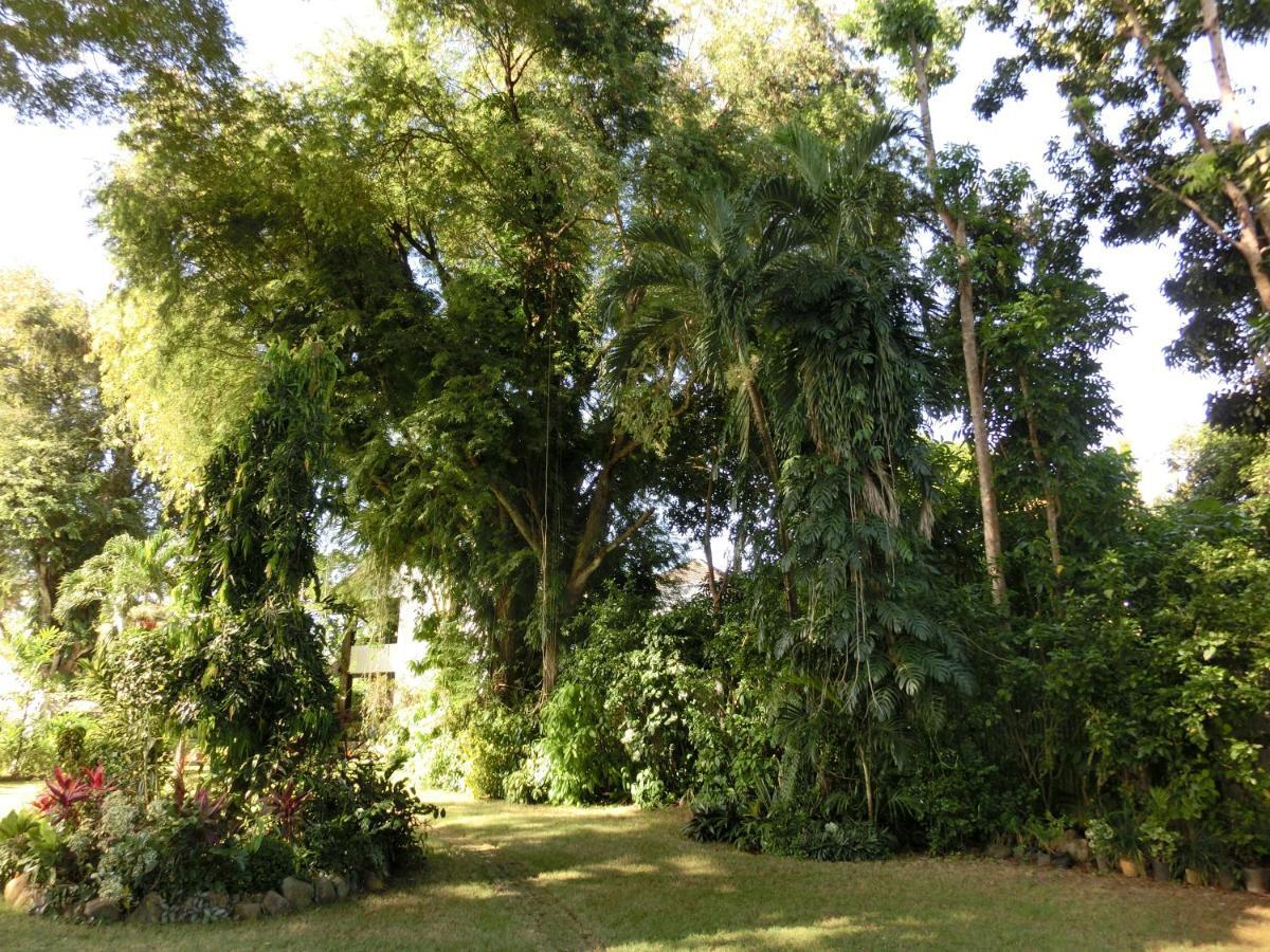 Balay Tuko Garden Inn Puerto Princesa Kültér fotó